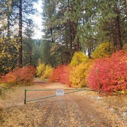 End of Guest parking lot towards FS rd.