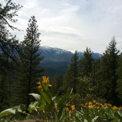 View from the ridge trail